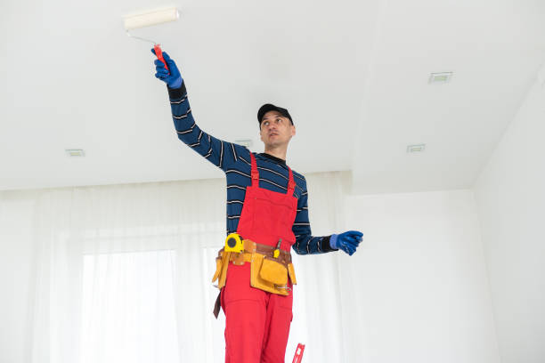 Professional Mold Removal in Columbia City, OR